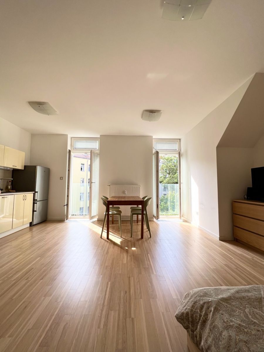 1+kk, Bořivojova, Praha - Žižkov, 38 m² - 1