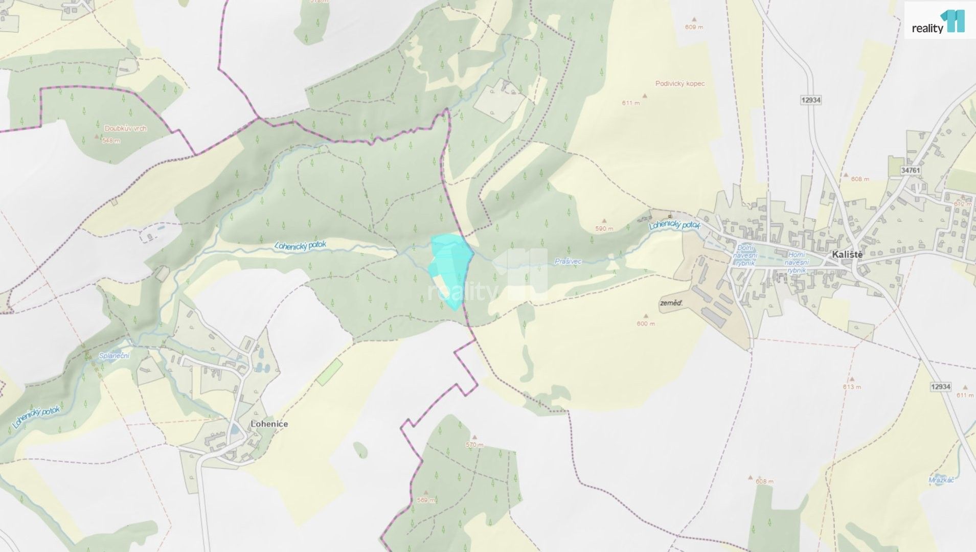 Zemědělský pozemek · 33 584 m² · Lohenice, Koberovice - 4