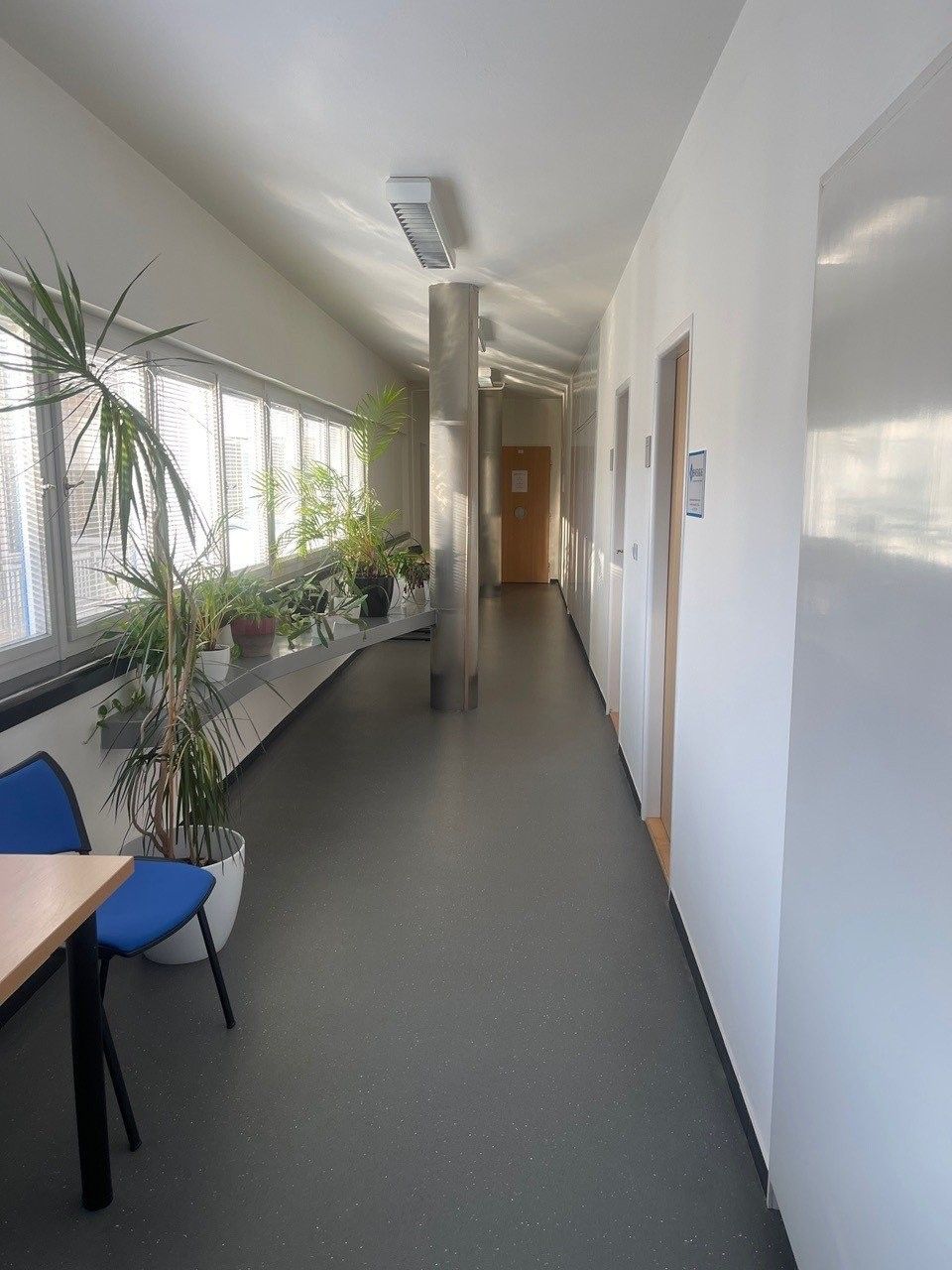 Kancelář · 233 m² · Dolní náměstí, Vsetín - 3