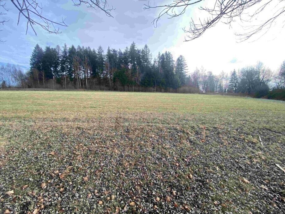 Prodej zemědělský pozemek - Černá v Pošumaví Bližná, 2 972 m² - 5