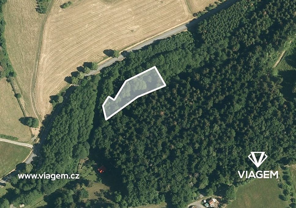 Lesy, Držková, okres Zlín, Zlínský kraj