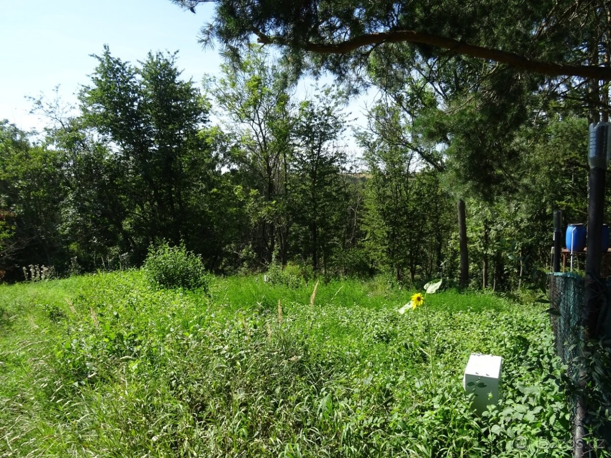 Prodej pozemek pro bydlení - Smolnice, 439 14 - 1