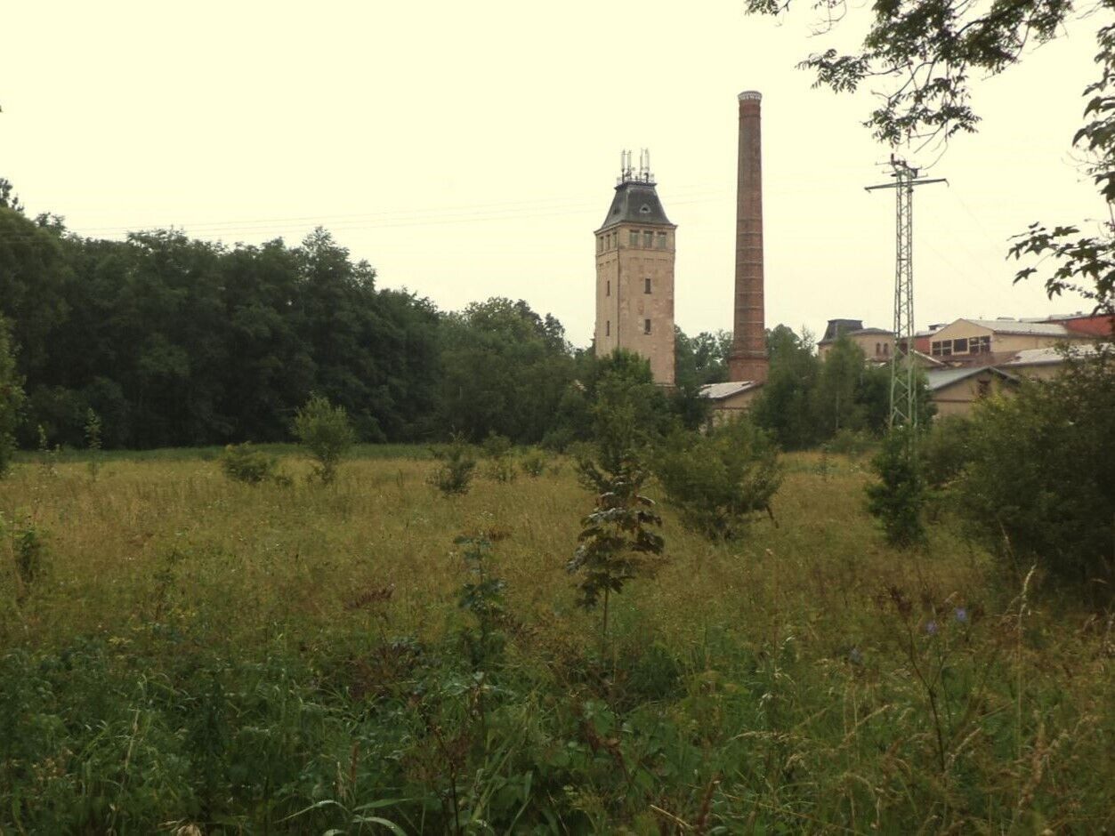 Prodej zemědělský pozemek - Meziměstí, 28 m²