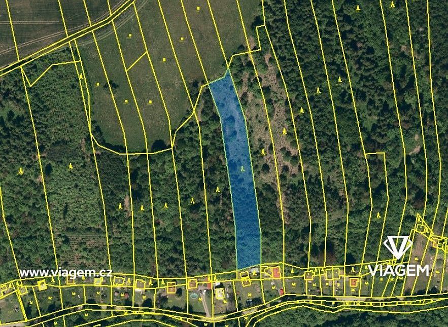 Lesy, Hradec nad Moravicí, okres Opava - 1