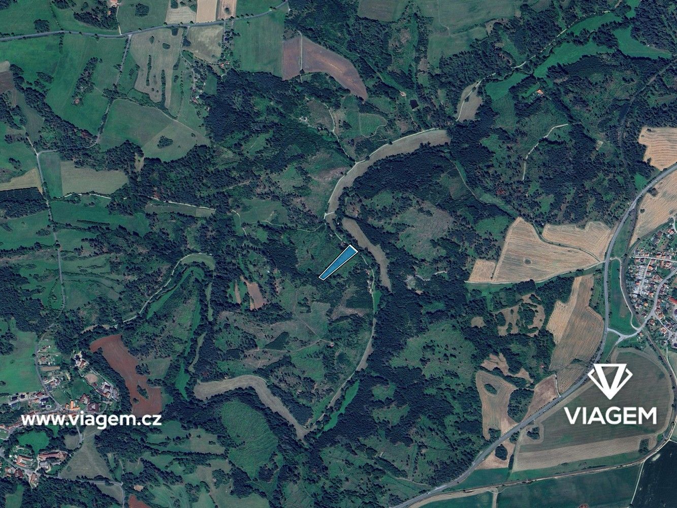 Les · Baliny, okres Žďár nad Sázavou, Kraj Vysočina - 3