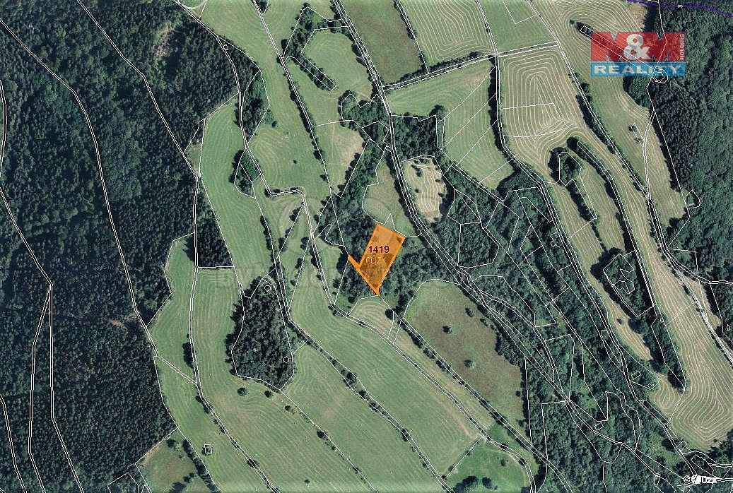 Louka · Trutnov, Královéhradecký kraj - 3