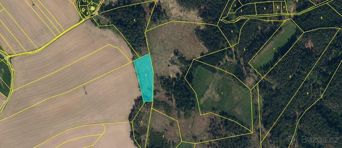 Prodej pozemek pro bydlení - Bačkov, 582 91