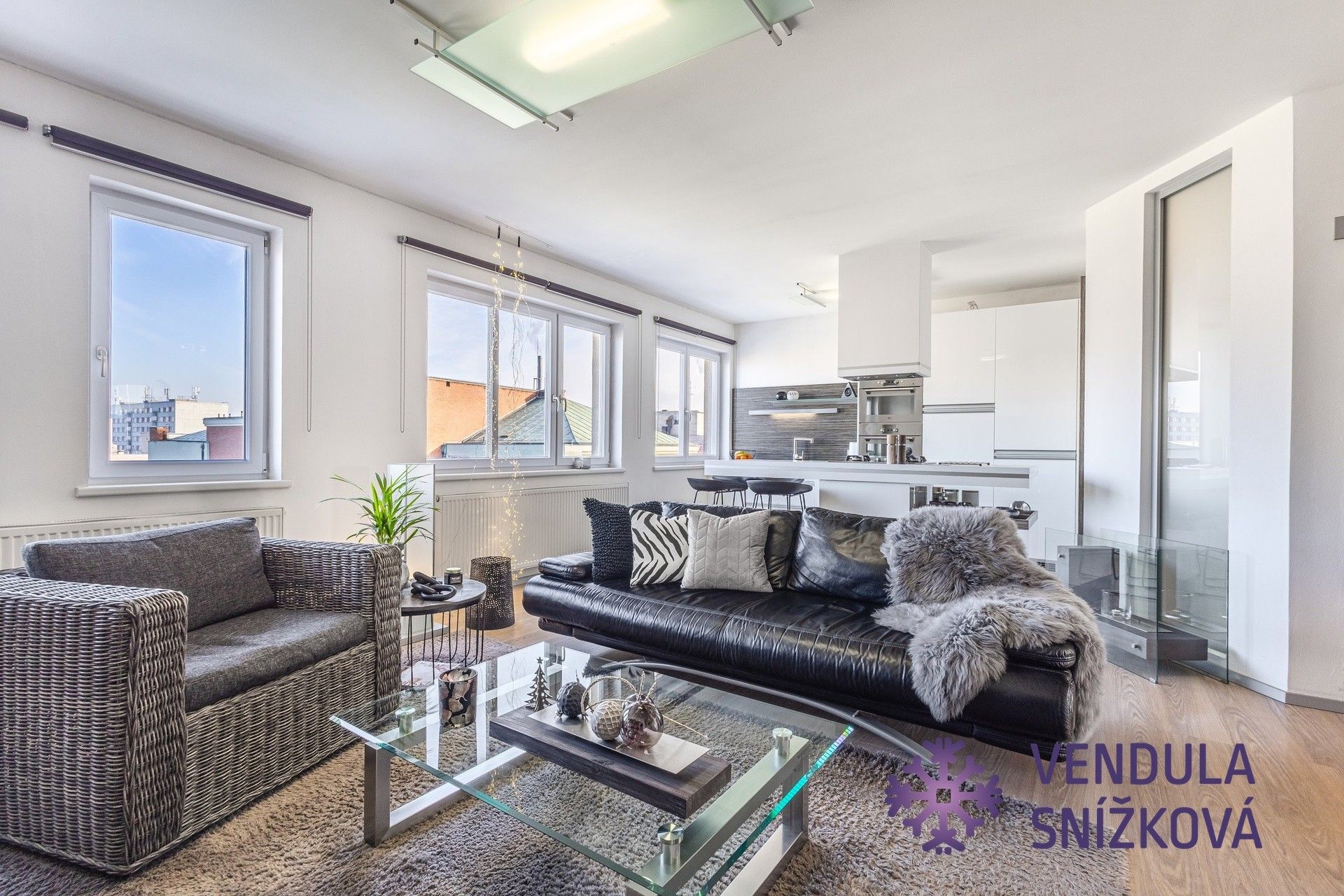 6+kk a více, Boženy Němcové, Mladá Boleslav, 219 m²