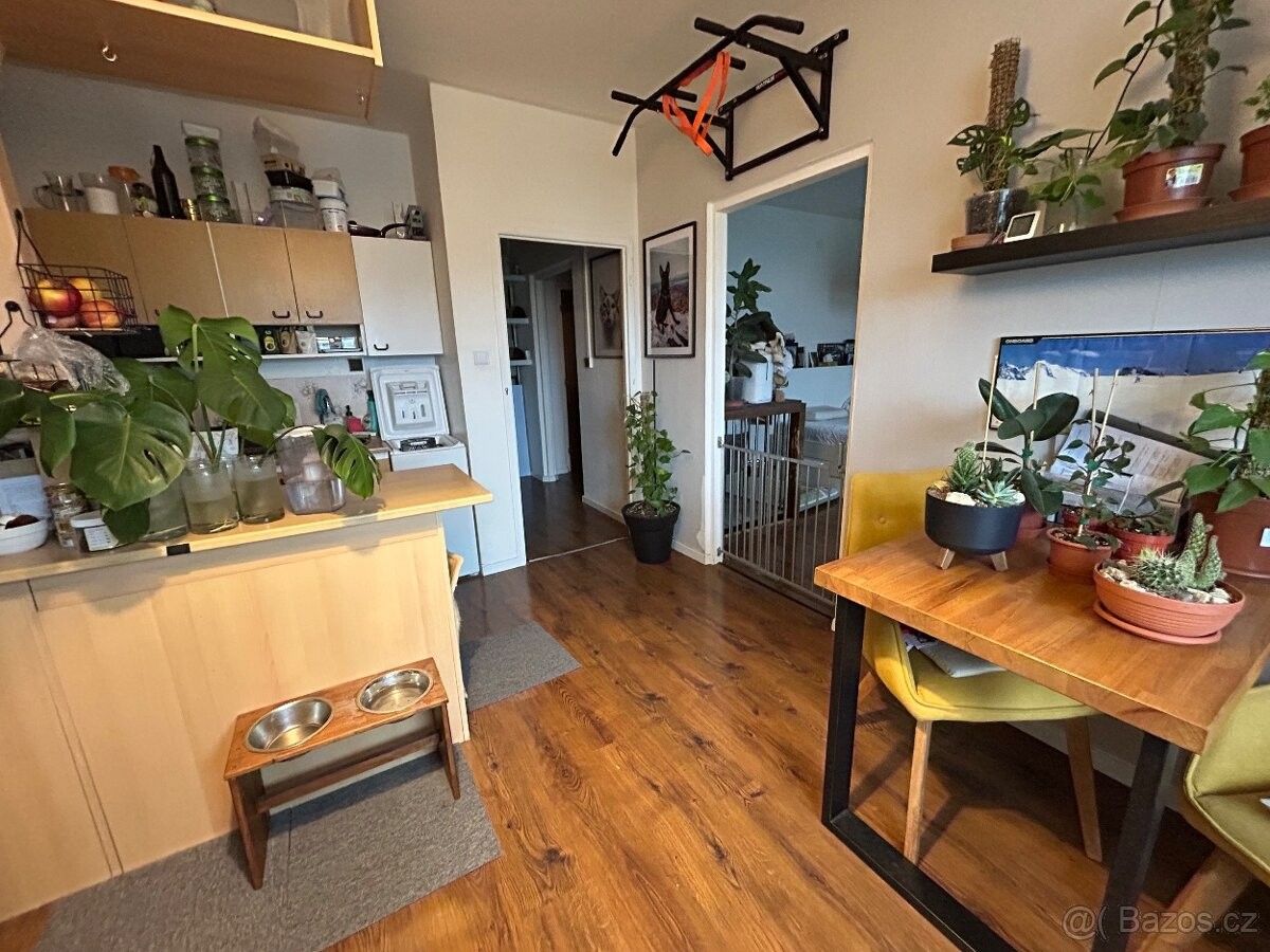 Prodej byt - Pardubice, 530 09