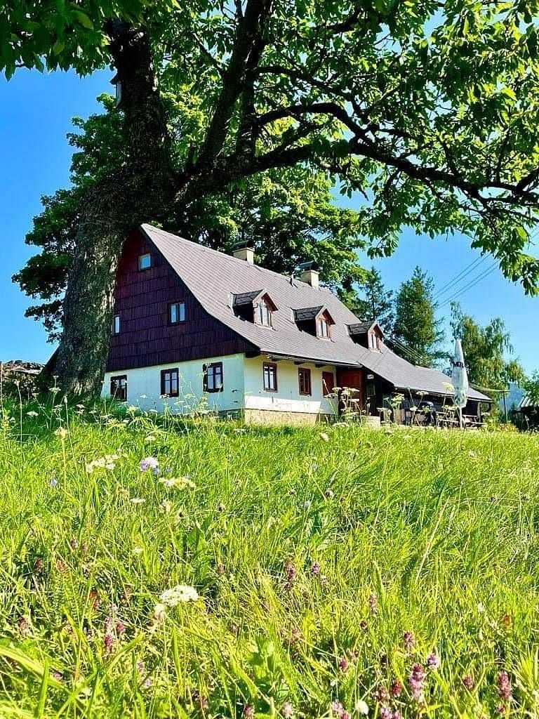 Chaty, Říčky v Orlických horách, Královéhradecký kraj - 1
