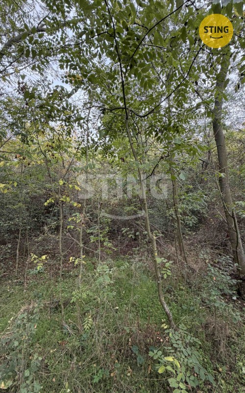 Pozemek · 10 074 m² · Kleneč - 3