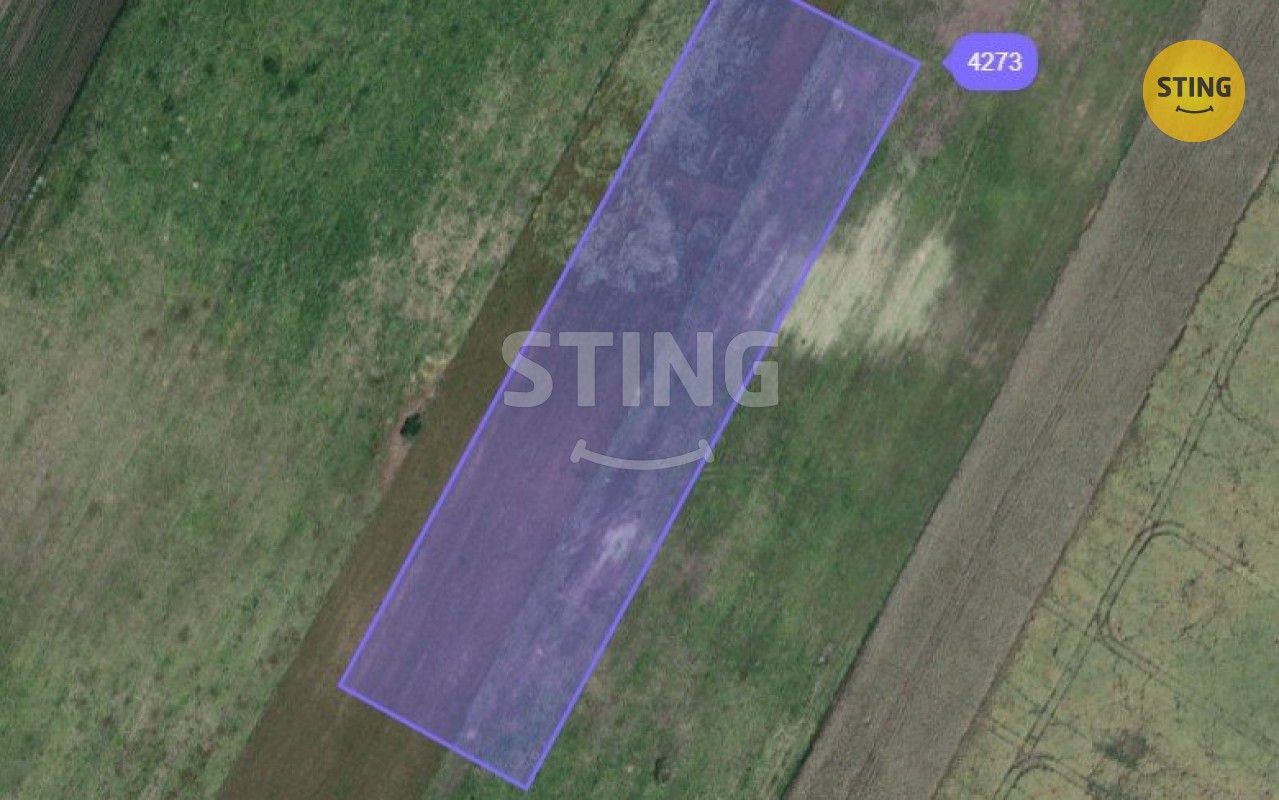 Zemědělské pozemky, Moravský Žižkov, 9 180 m²