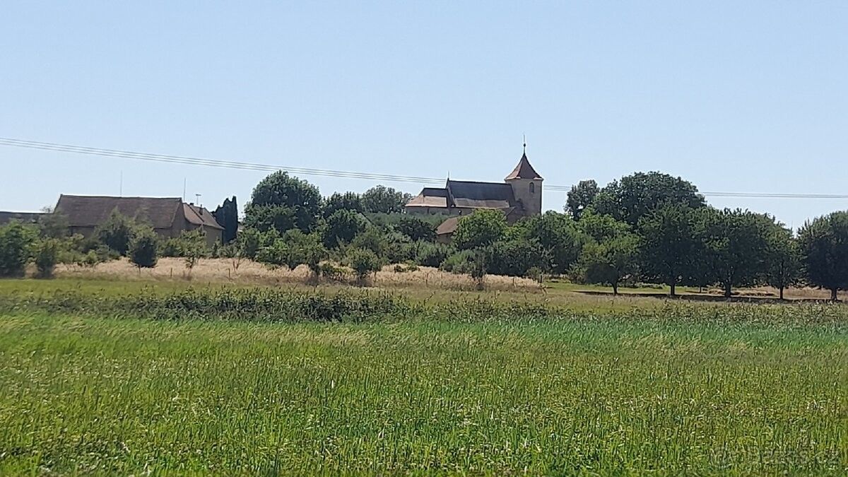 Zahrada