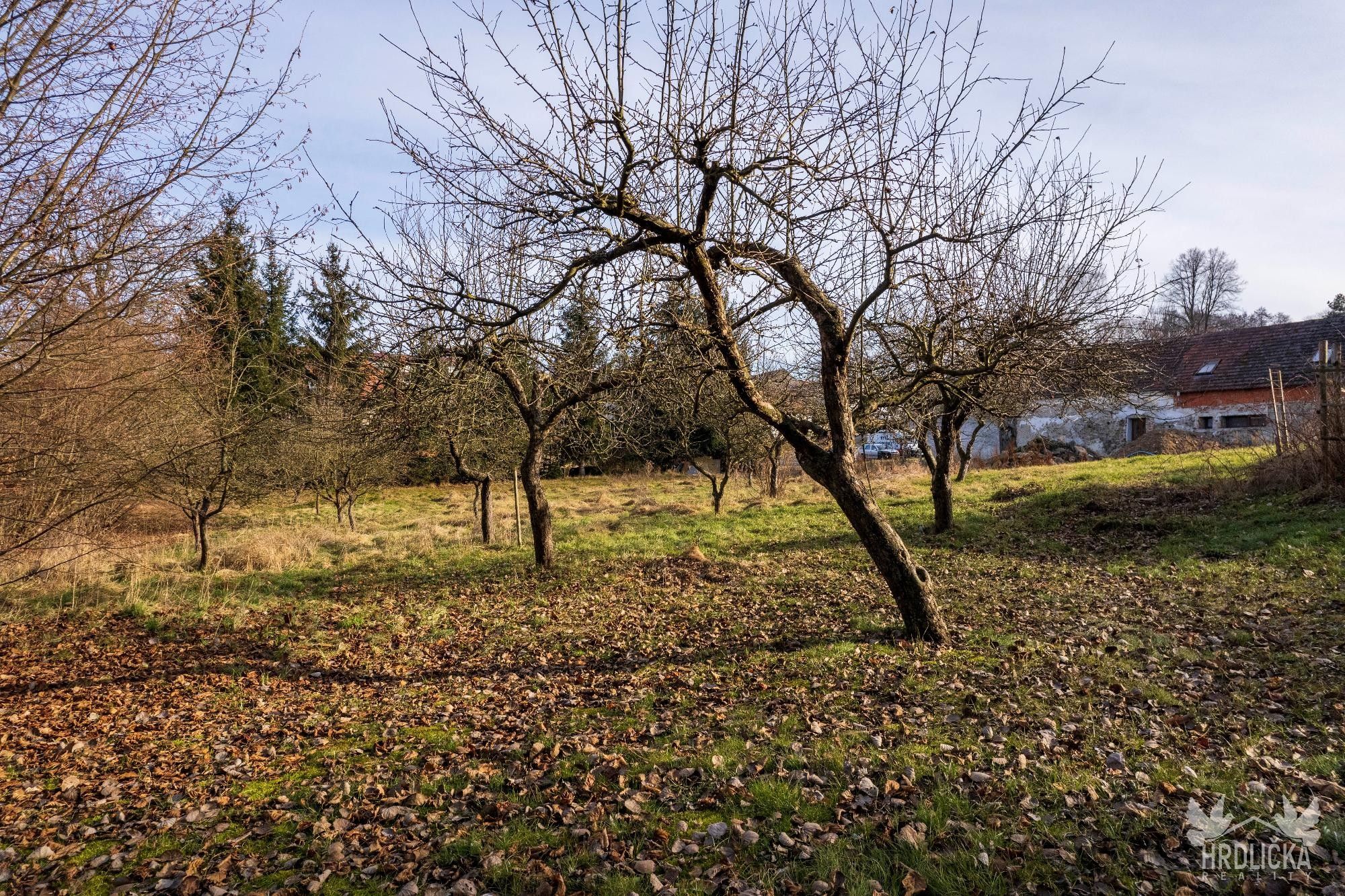 Prodej pozemek pro bydlení - Čejetice Sedlíkovice, 1 915 m² - 5
