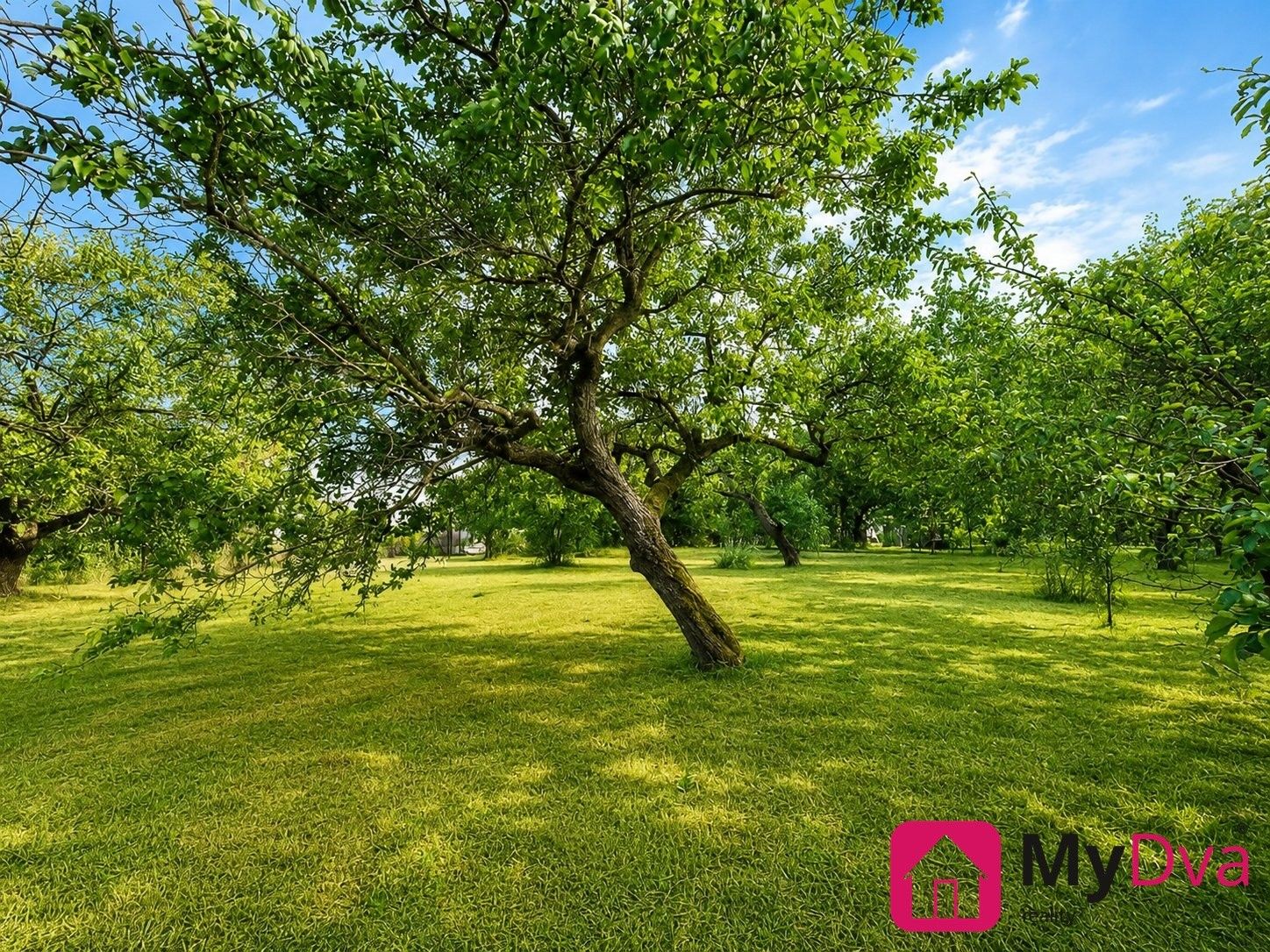 Pozemek pro bydlení · 1 465 m² · Znojmo - 4