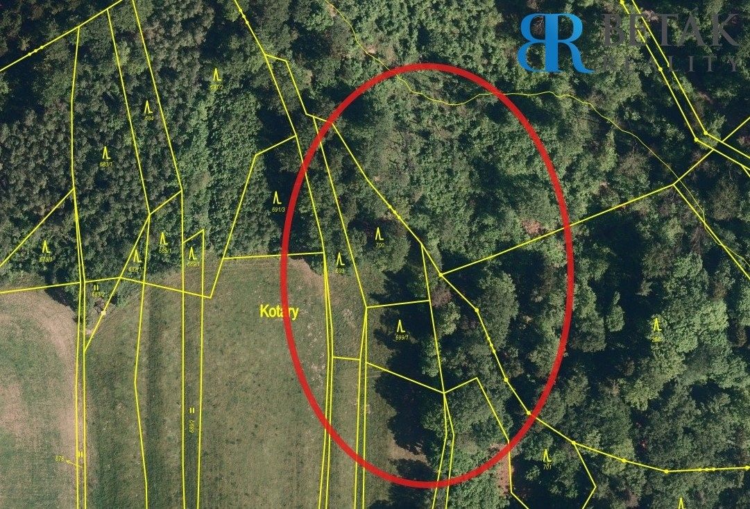 Lesy, Hranice IX-Uhřínov - 2