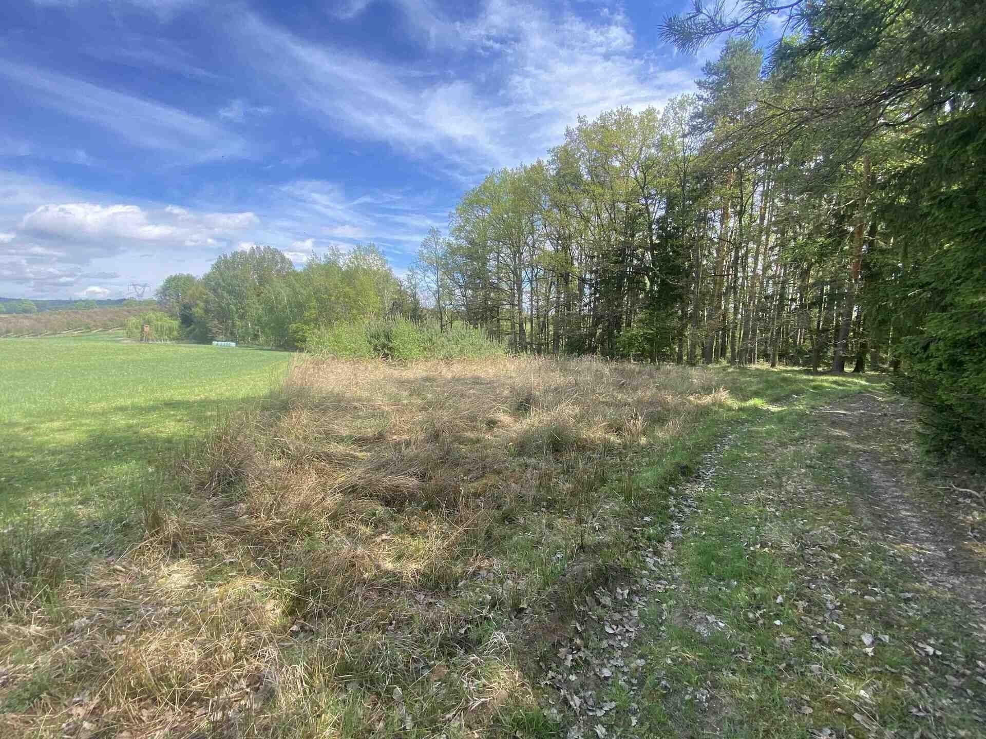 Zemědělský pozemek · 5 875 m² · Malovice - 3