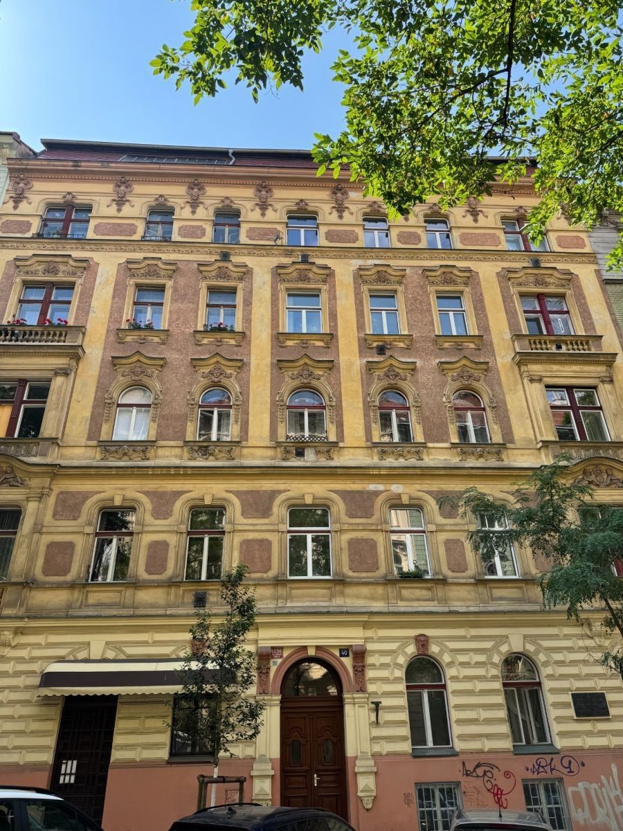 3+1, Mánesova, Praha - Vinohrady, 86 m² - 2