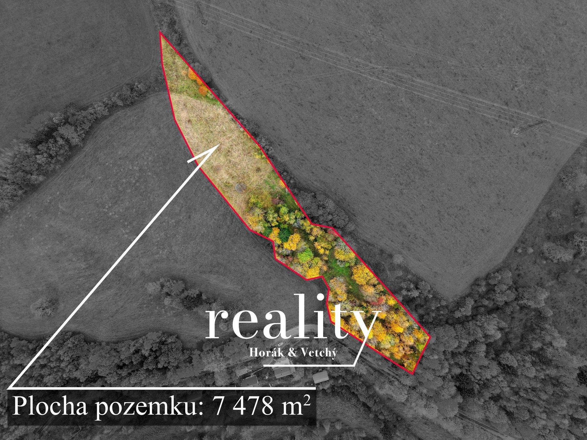 Prodej pozemek pro bydlení - Branná
