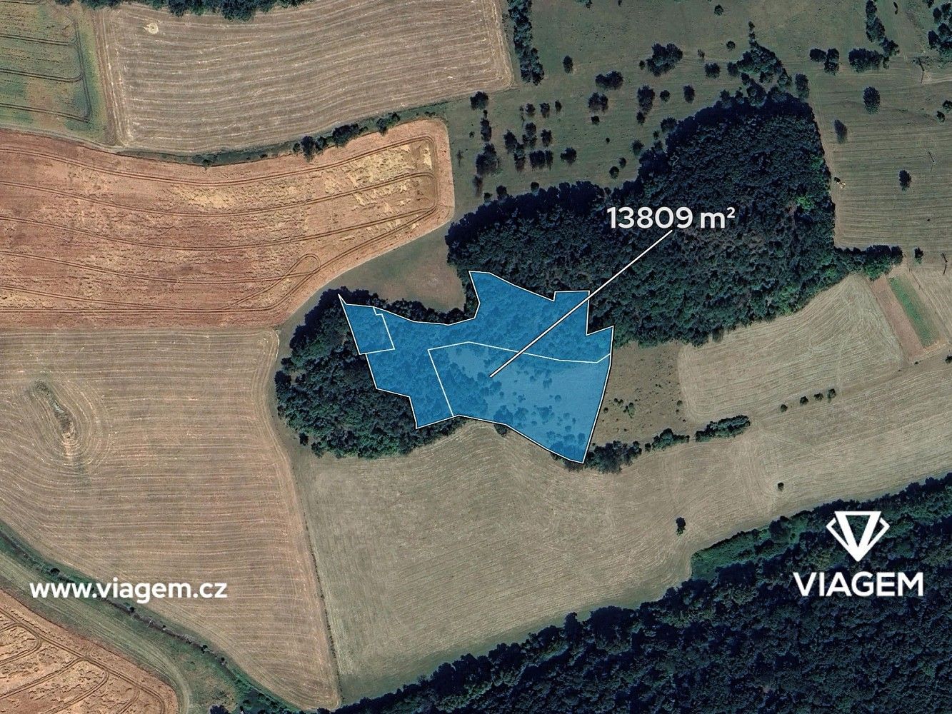 Prodej les - Prackovice nad Labem, okres Litoměřice, Ústecký kraj - 2