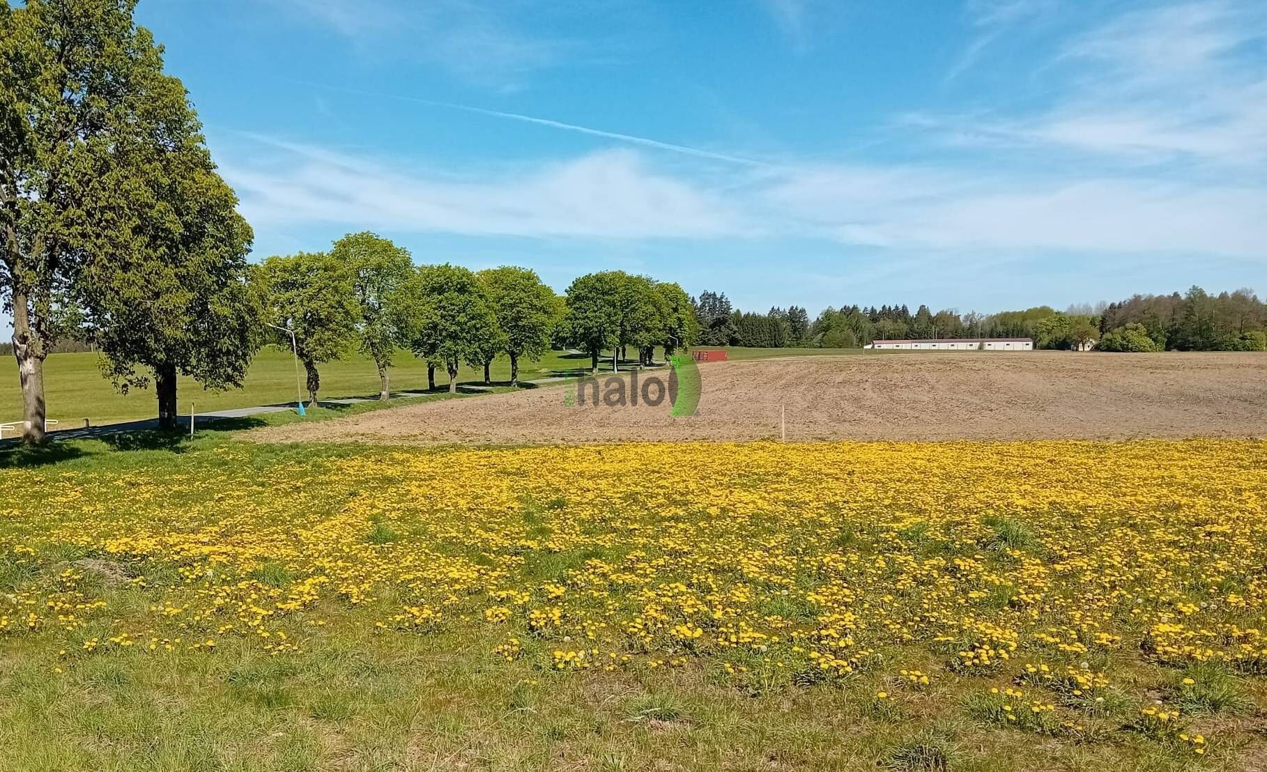 Prodej zemědělský pozemek - Popelín, 207 040 m²