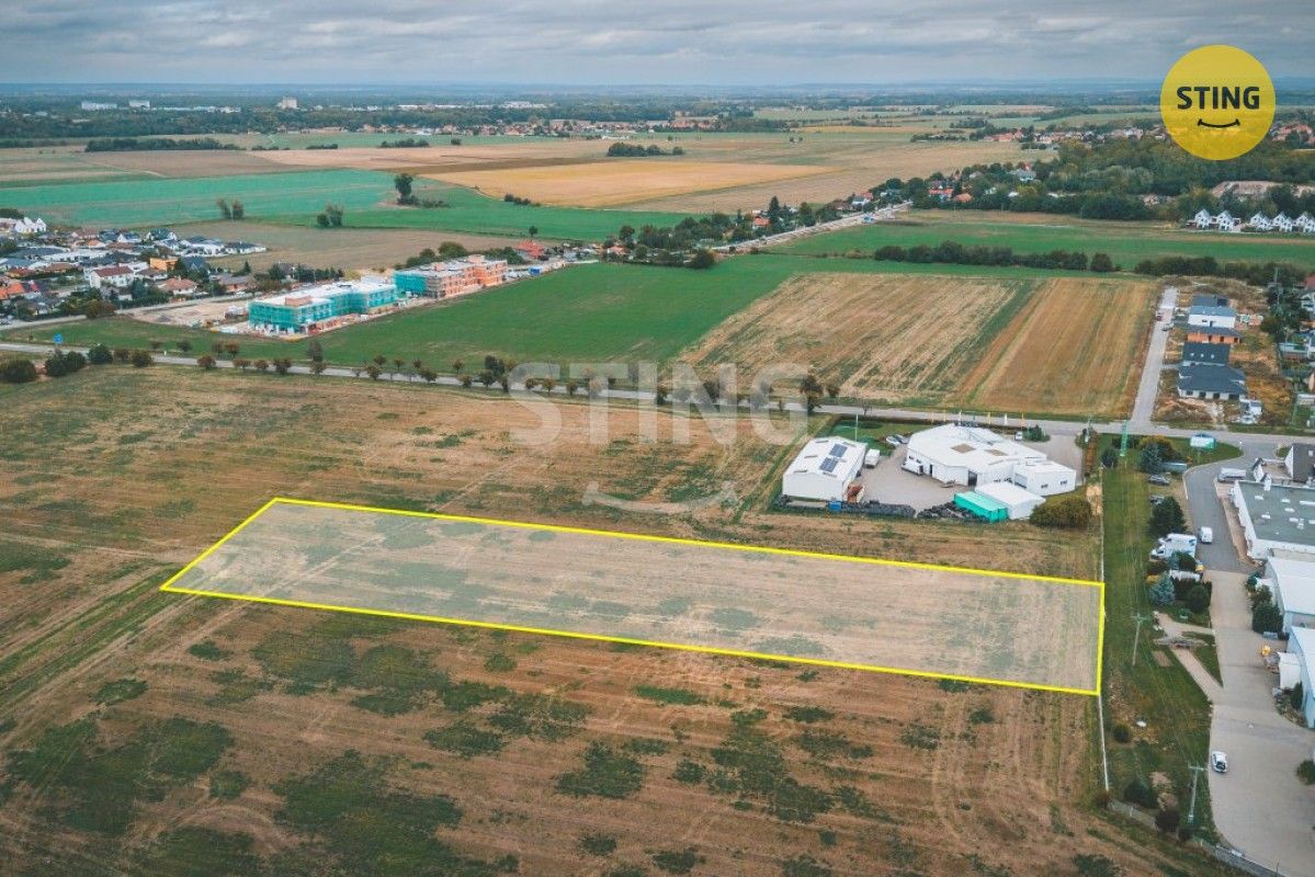 Prodej komerční pozemek - Mikulovice Blato, 6 059 m² - 2