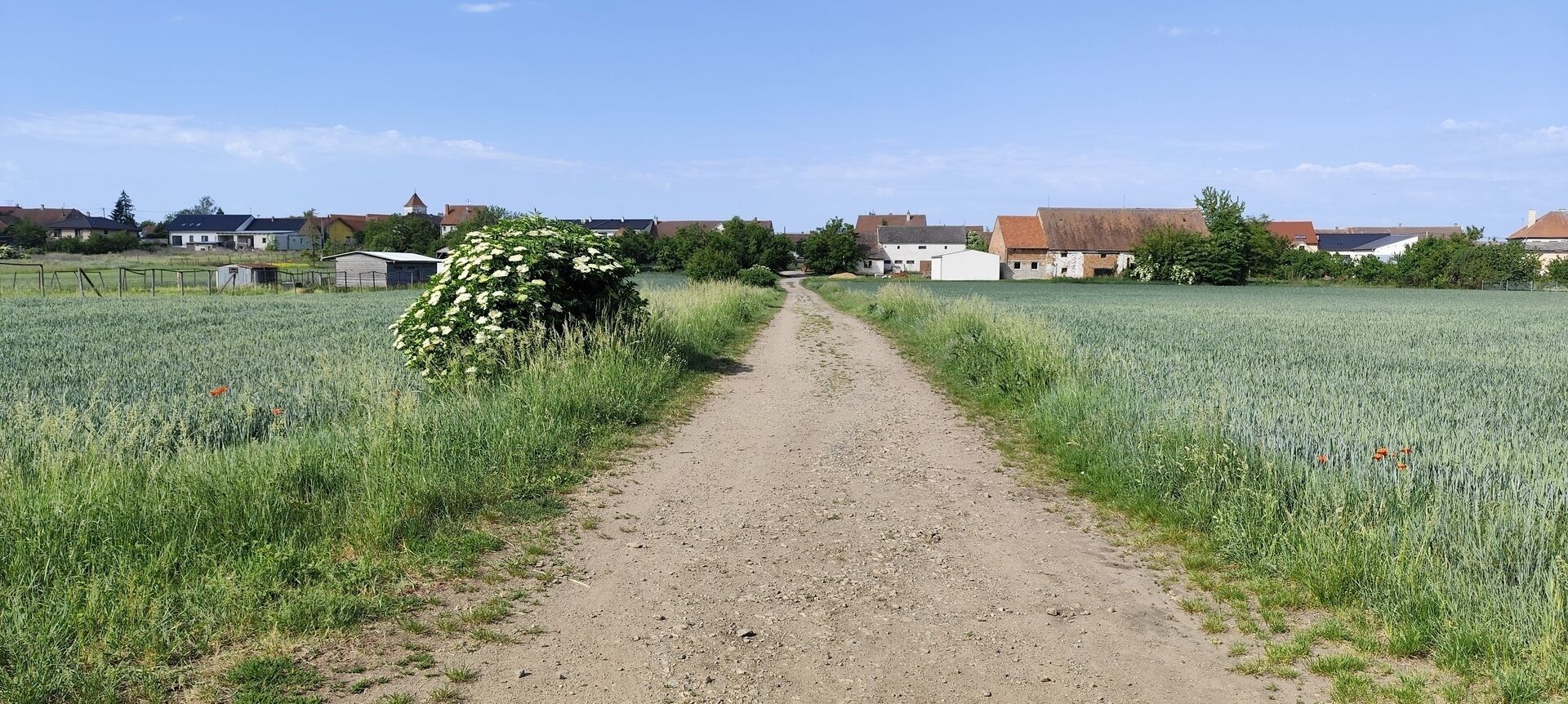 Prodej pozemek pro bydlení - Branišovice, 6 890 m² - 5