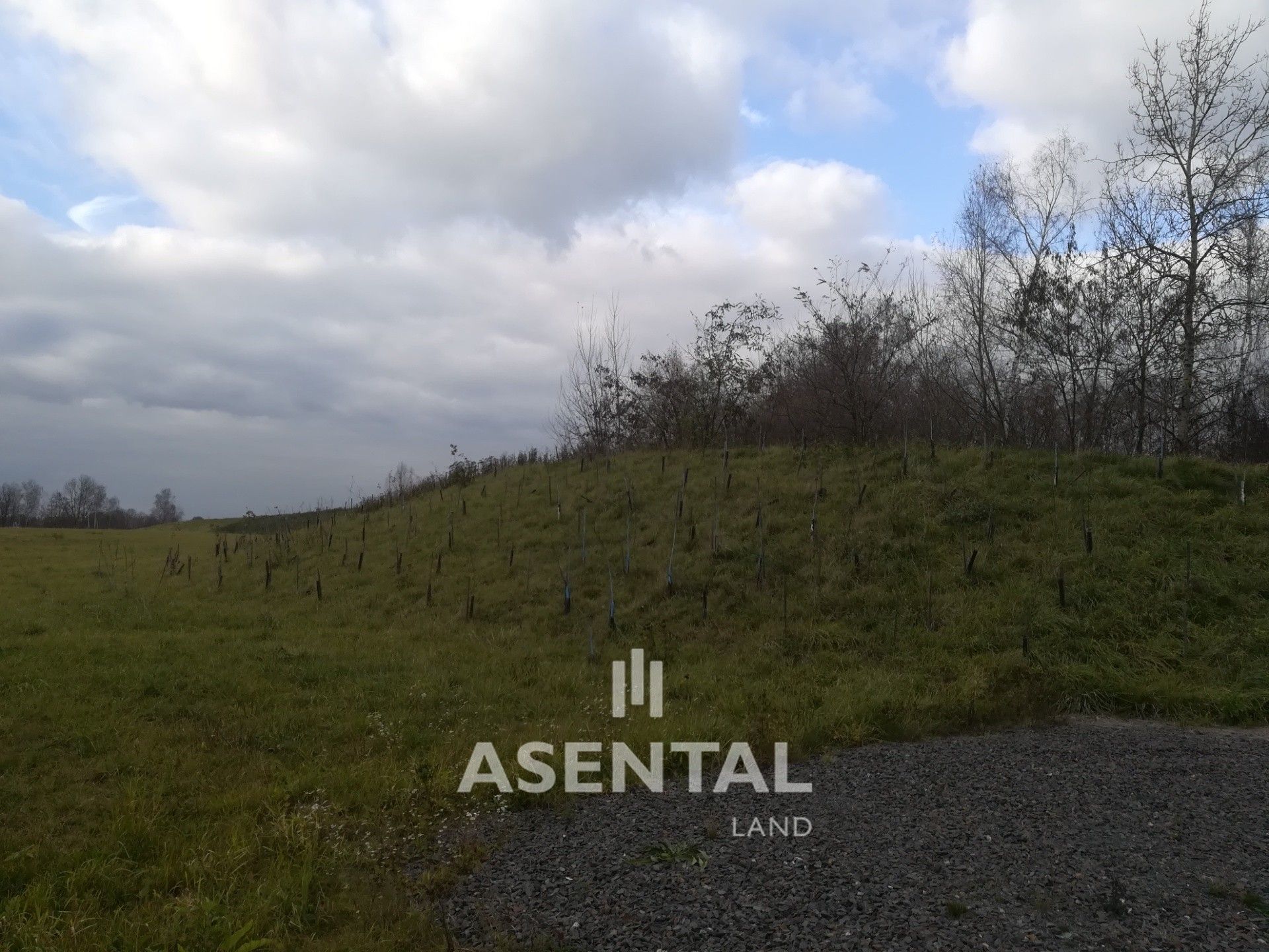 Prodej komerční pozemek - Poruba, Orlová