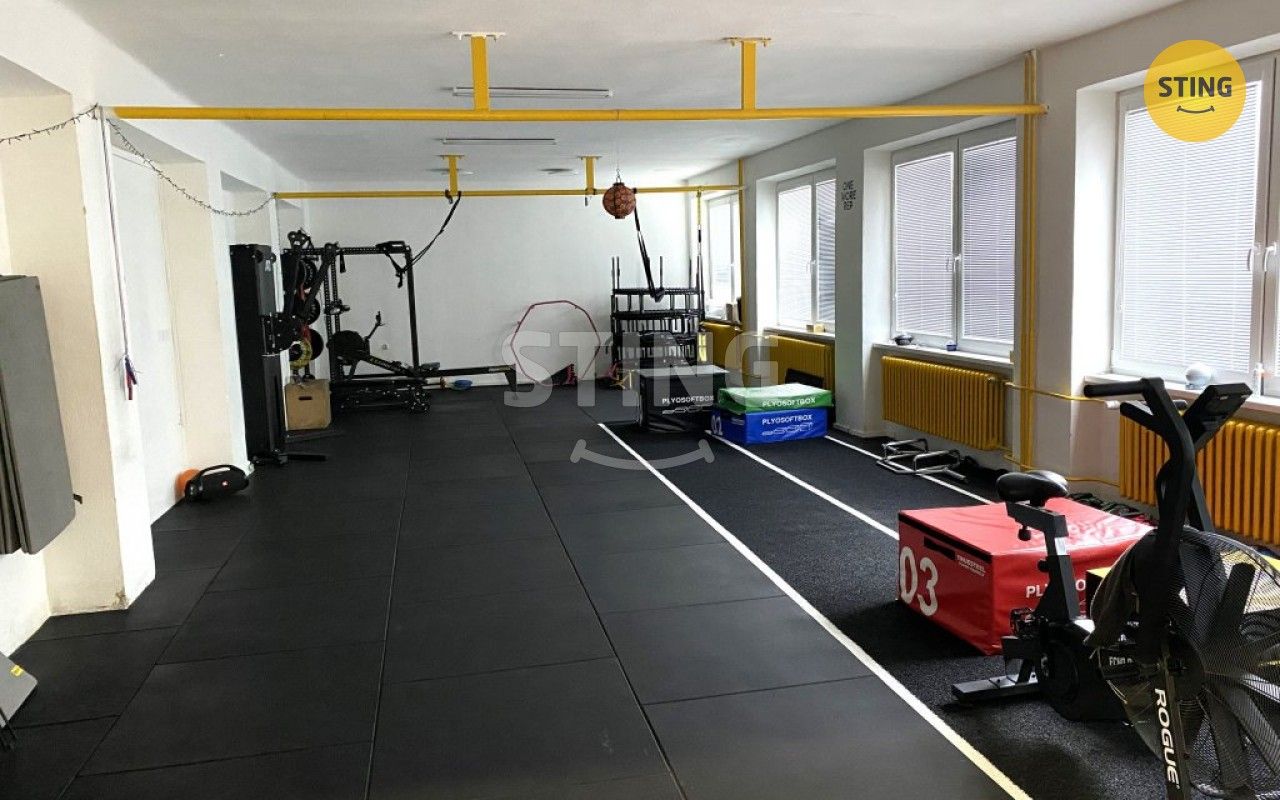 Ostatní, Olomoucká, Mohelnice, 116 m²