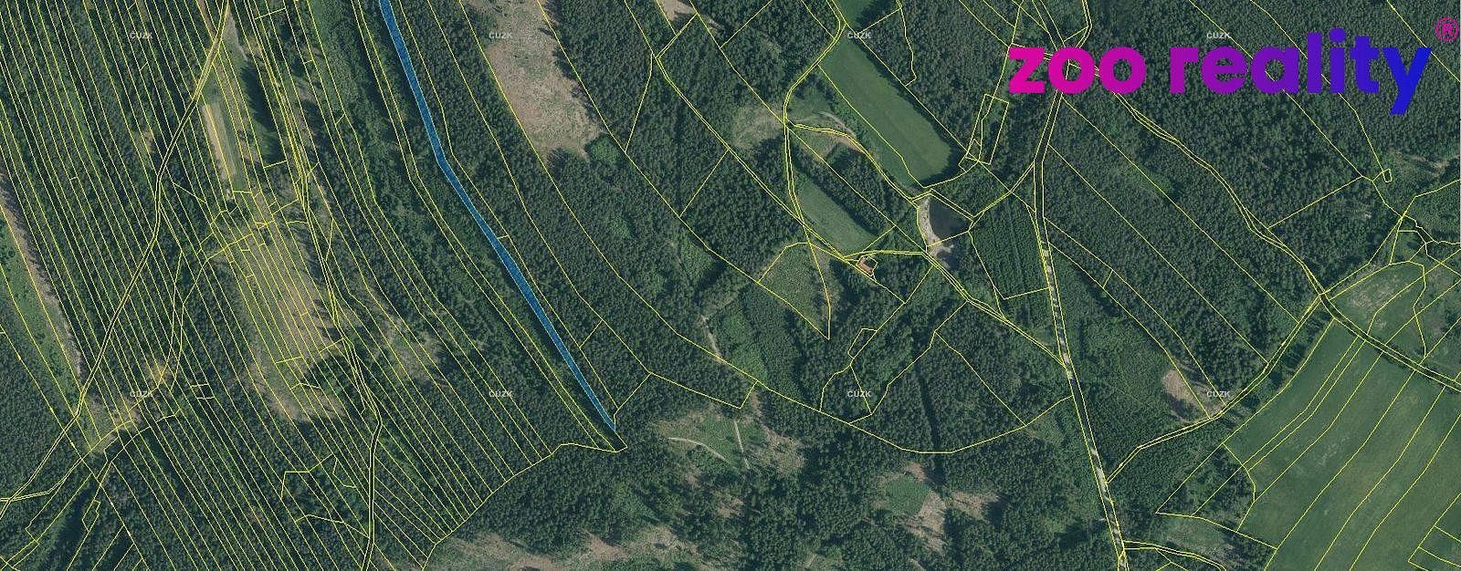 Lesy, Deštná, okres Jindřichův Hradec, Jihočeský kraj - 2