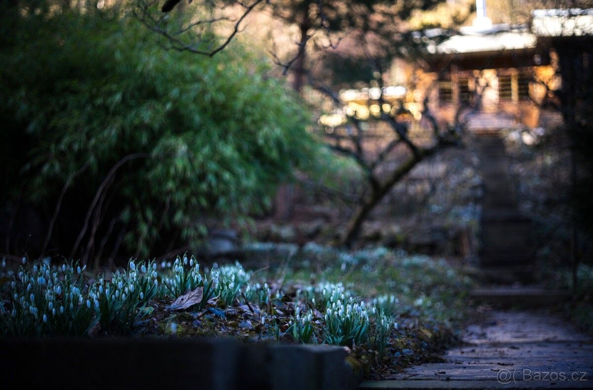 Prodej chata - Brno, 637 00