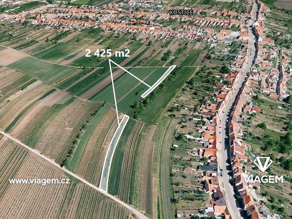 Prodej zemědělský pozemek - Kostice, okres Břeclav, Jihomoravský kraj - 1