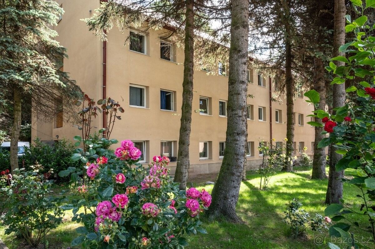 Byty, Litvínov, 436 01