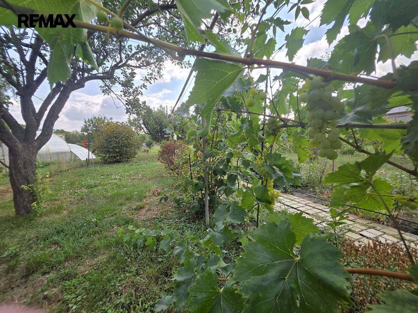 Rodinné domy, Drnholec, okres Břeclav, Jihomoravský kraj, 95 m² - 1