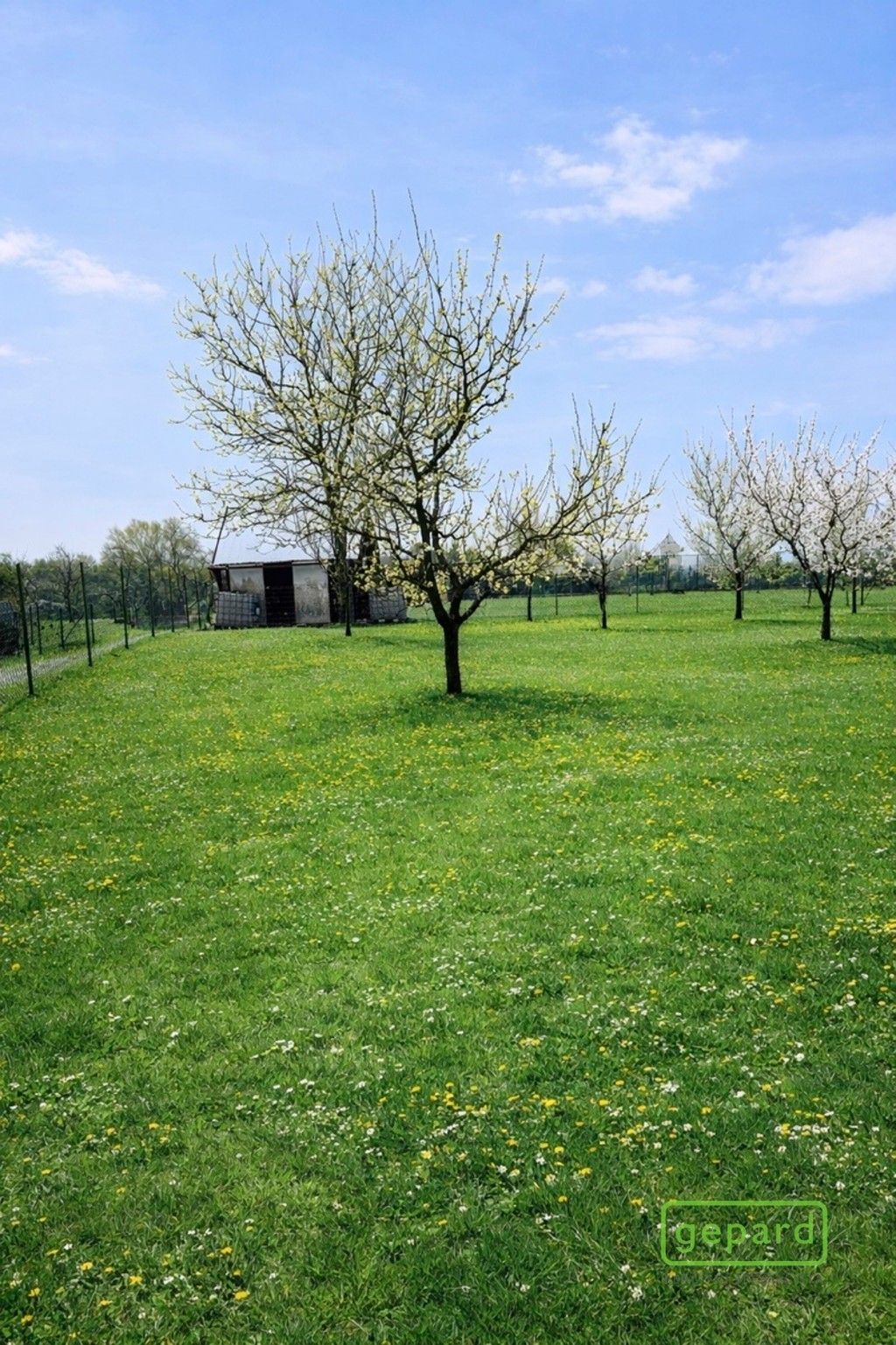 Ostatní, Turovice, 878 m² - 1