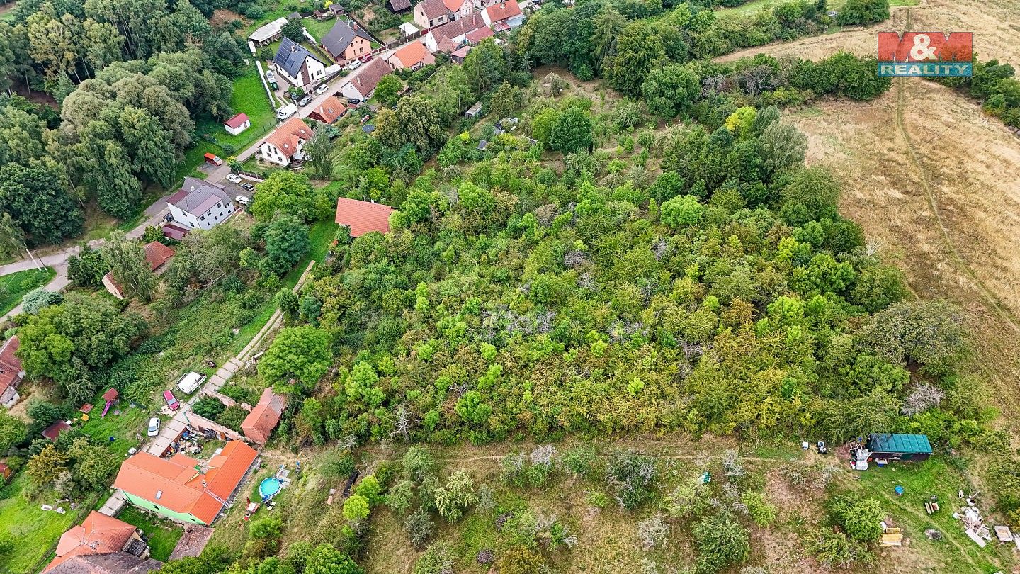 Zemědělský pozemek · Krušovice, okres Rakovník, Středočeský kraj - 3