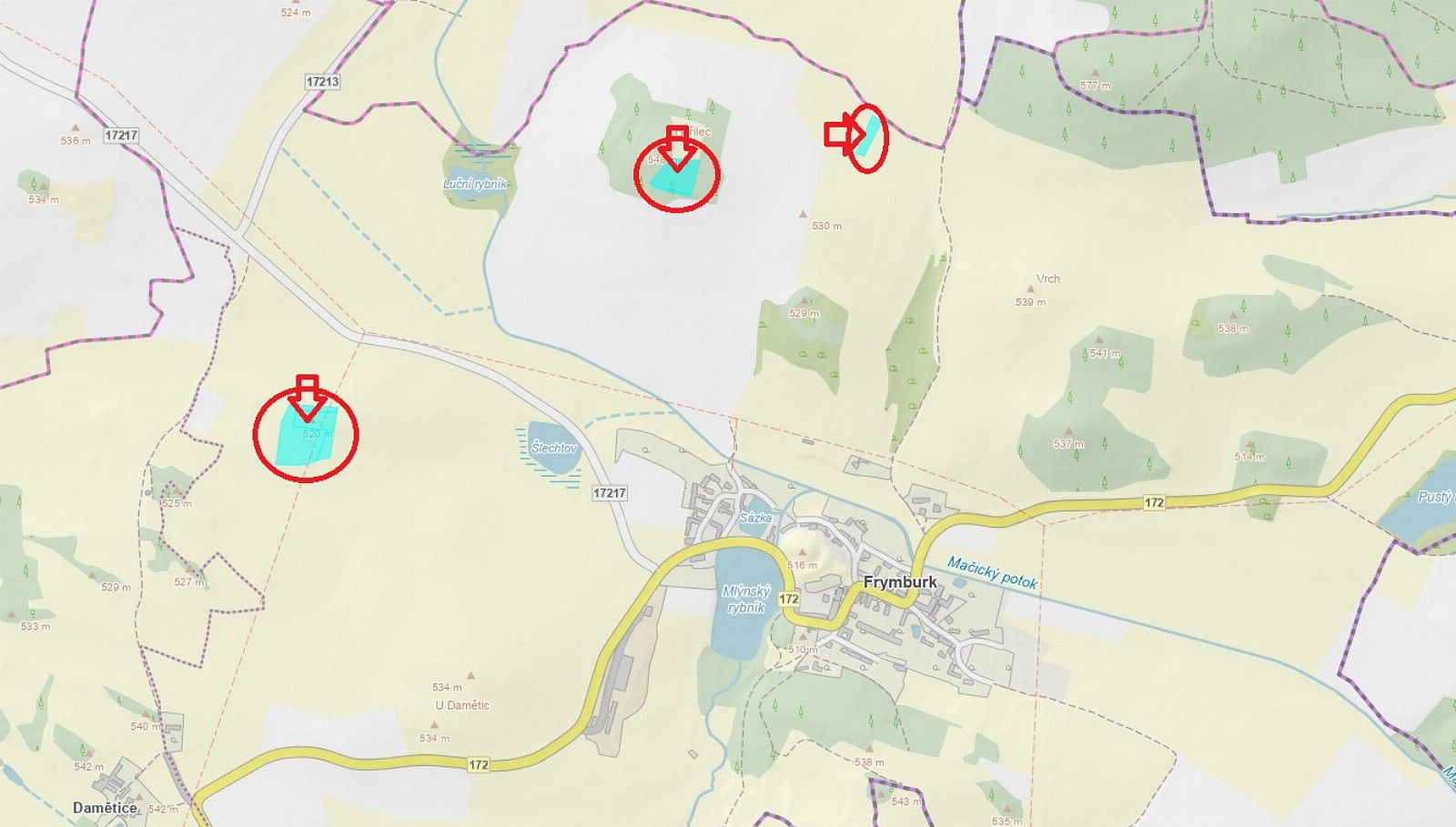Les · Frymburk - Druztová, okres Klatovy, Plzeňský kraj - 4