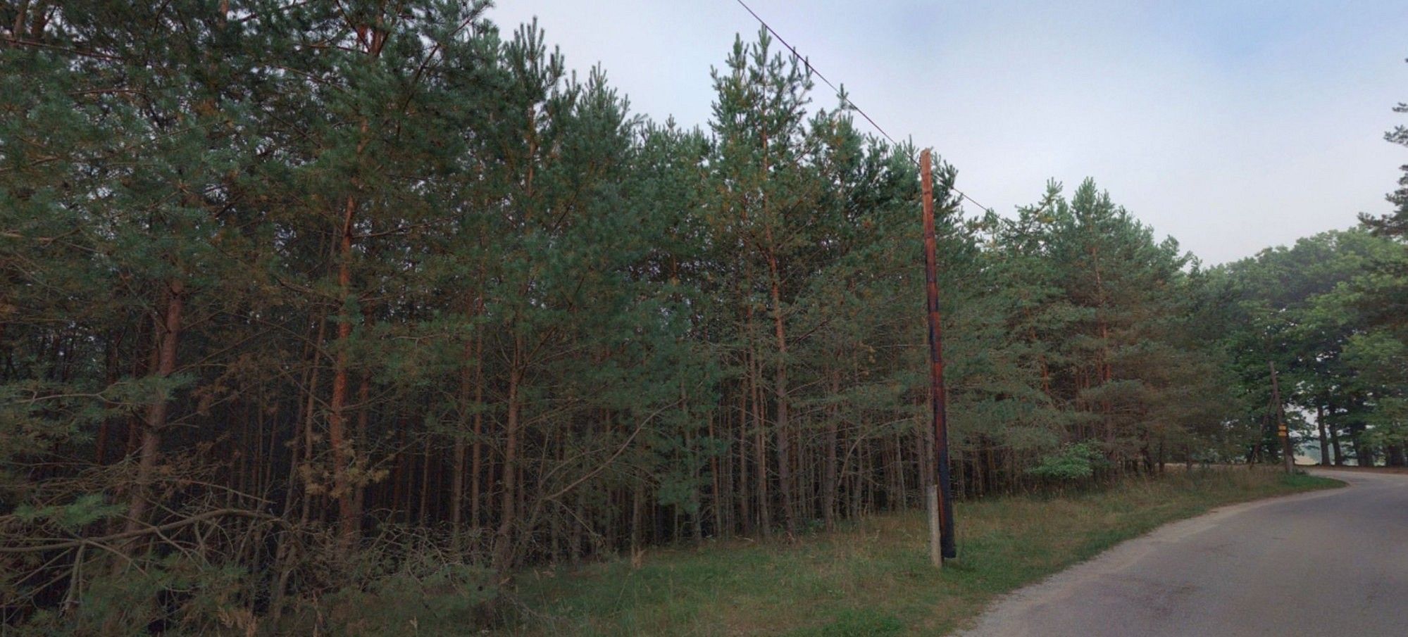 Les · Stráž nad Nežárkou, okres Jindřichův Hradec - 3