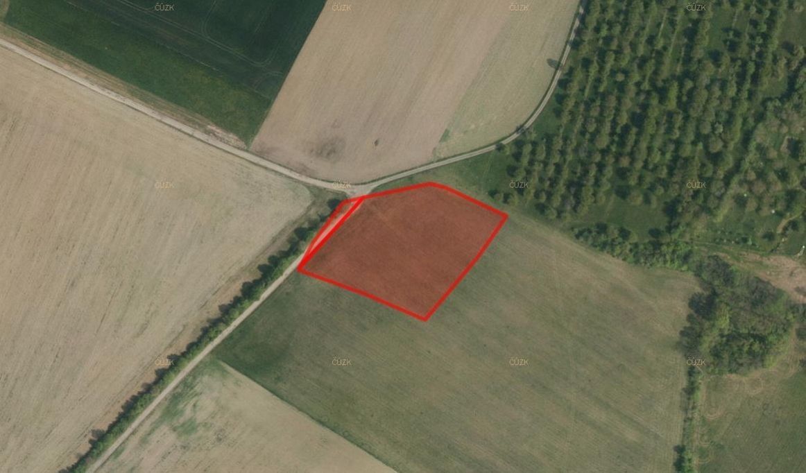 Zemědělské pozemky, Radim, Luže