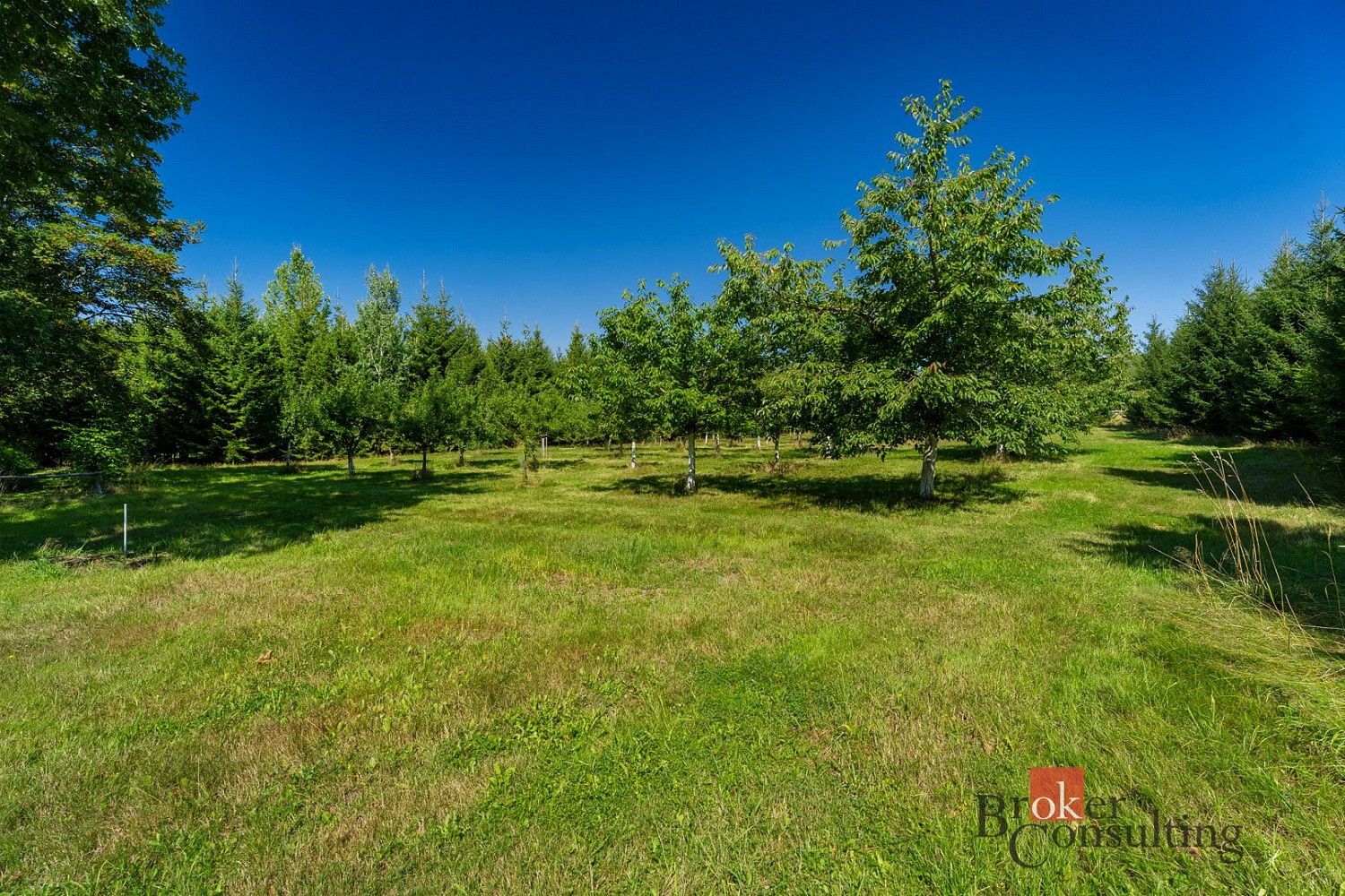 Pozemek pro bydlení, 12 049 m²
