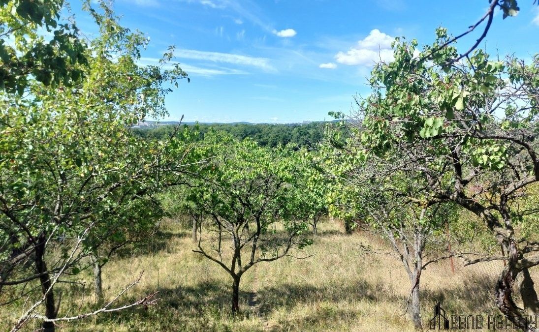 Prodej zahrada - Brněnské Ivanovice, Brno, 1 578 m²