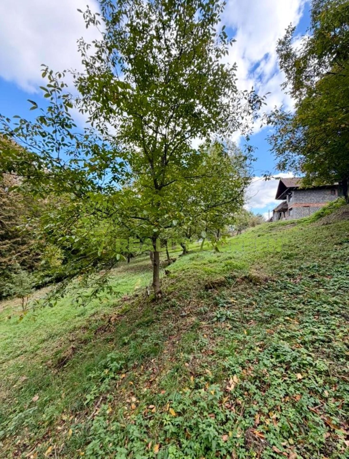 Pozemek pro bydlení · 6 194 m² · Pržno, Vsetín - 4