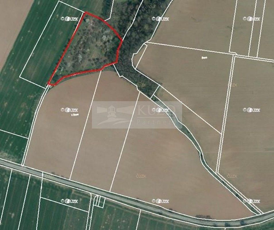 Pozemek · Velké Všelisy, okres Mladá Boleslav, Středočeský kraj - 3