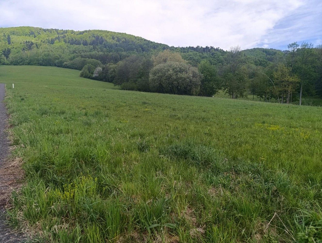 Prodej pozemek pro bydlení - Lichnov, okres Nový Jičín, Moravskoslezský kraj - 5