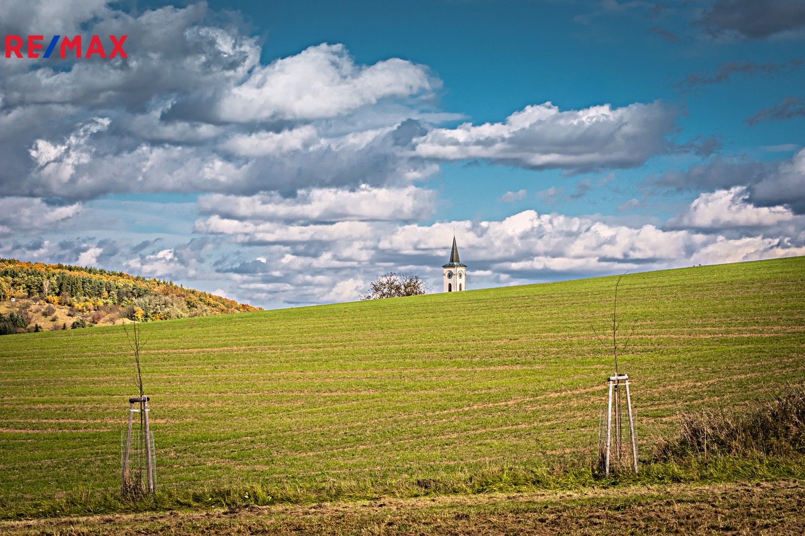 Prodej pozemek pro bydlení - Nedachlebice, 1 m²