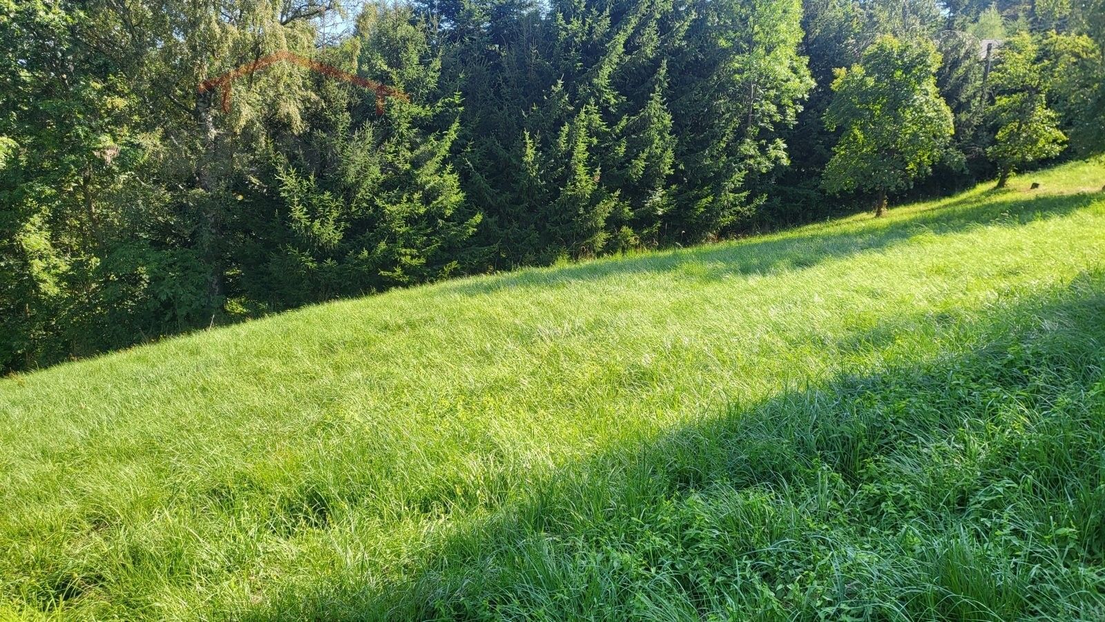 Pozemek pro bydlení · 3 186 m² · Příkrý - 3