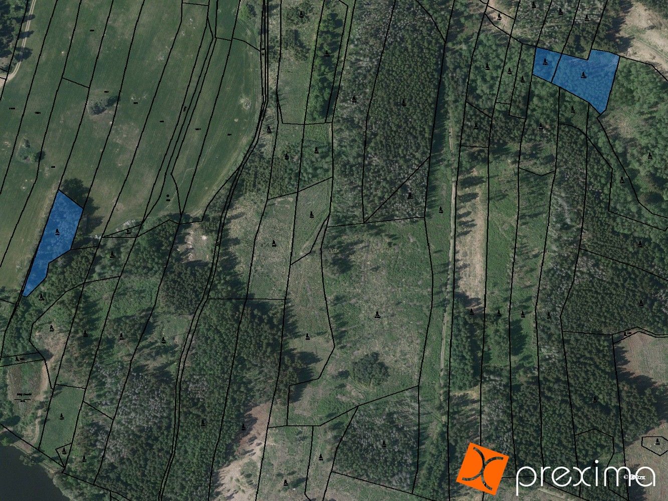 Les · Oslavice, okres Žďár nad Sázavou, Kraj Vysočina - 3