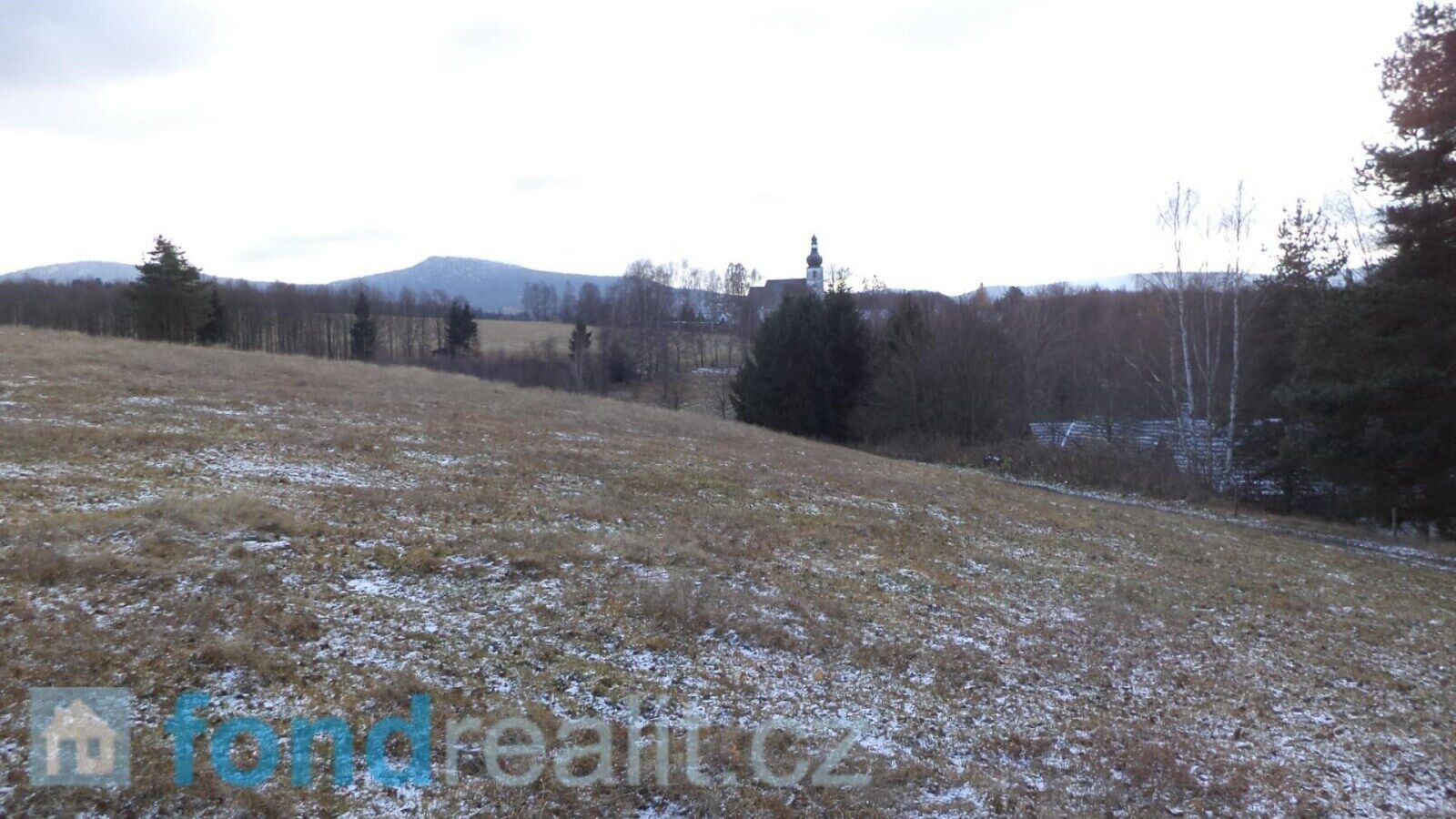 Zemědělský pozemek · 12 382 m² · Horní Stropnice Rychnov u Nových Hradů - 3