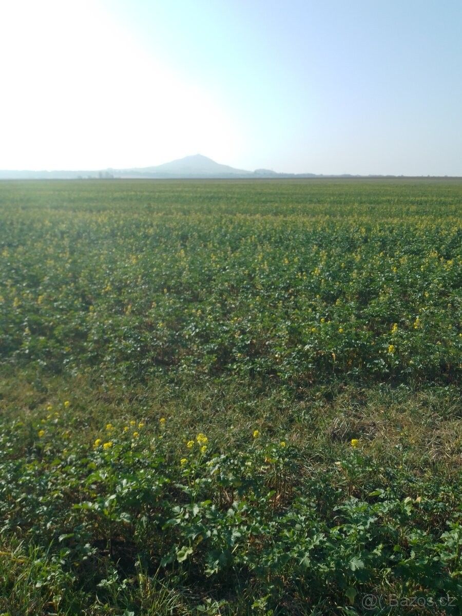 Prodej pozemek pro bydlení - Chodovlice, 411 15