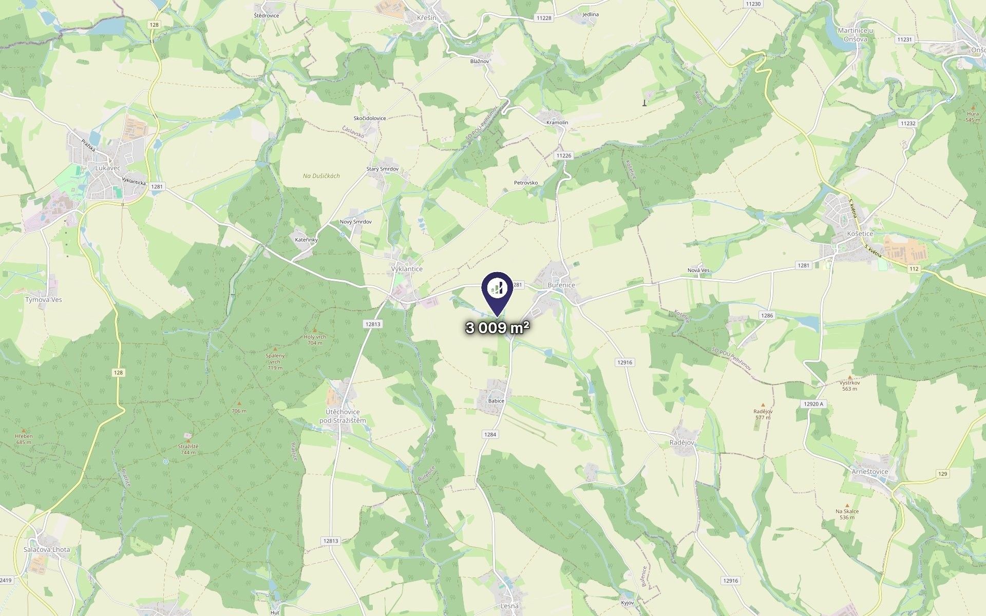 Louka · 3 009 m² · Buřenice - 3
